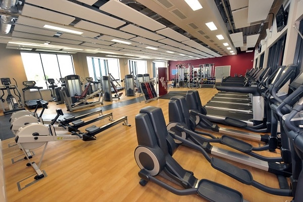 Fitness and Gyms